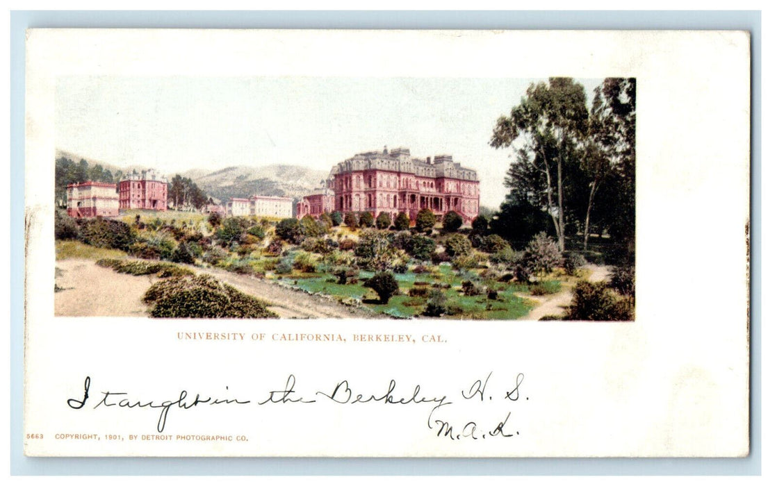c1900s University of California, Berkeley, California CA PMC Unposted Postcard