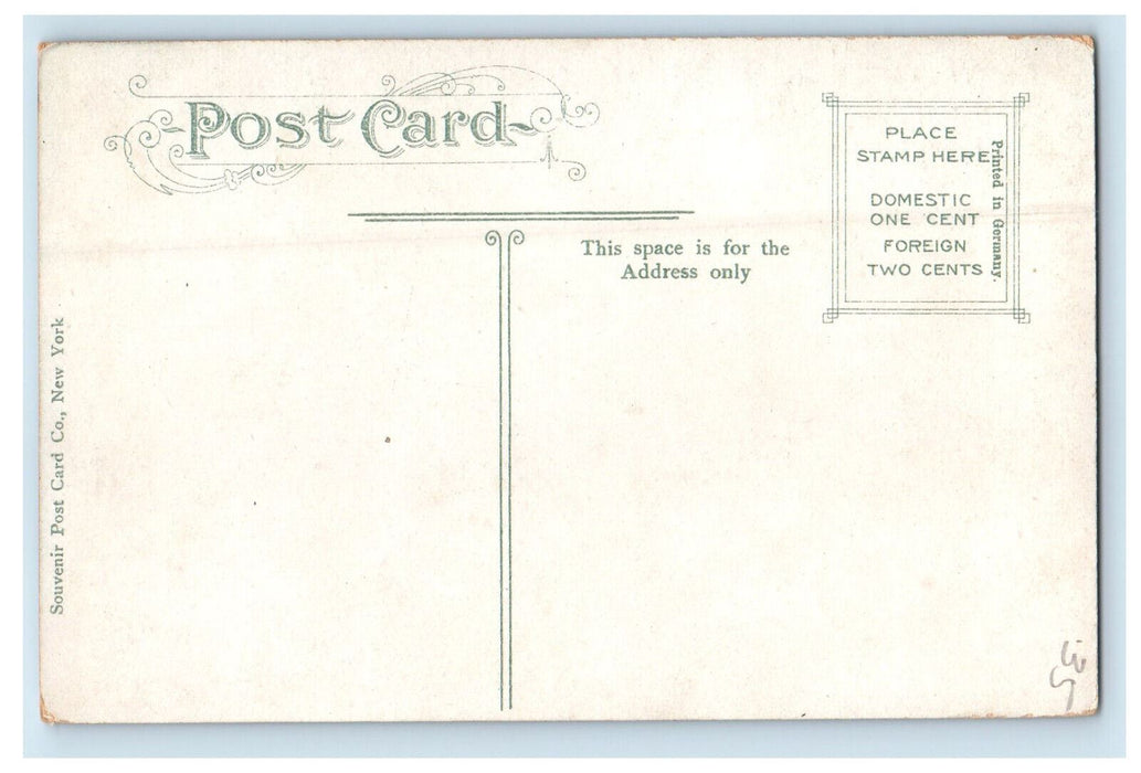 c1910 Lula Lake, Lookout Mountain Tennessee TN Unposted Antique Postcard