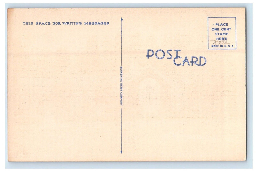 Wyomissing Public Library Reading Boulevard Wyomissing PA Vintage Postcard