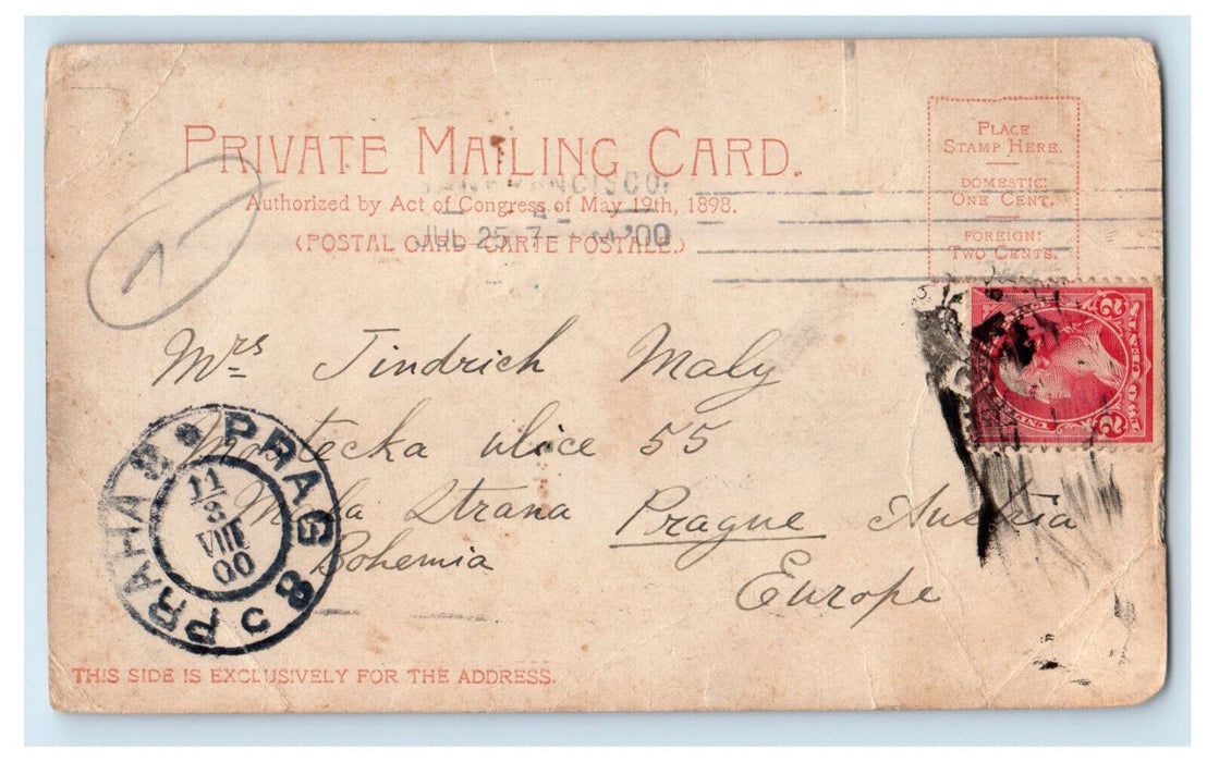 1900 Strawberry Hill, Golden Gate Park San Francisco California CA PMC Postcard