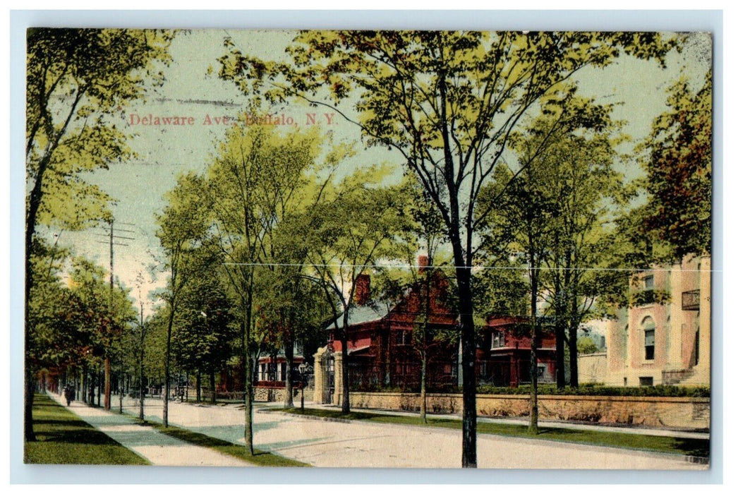 1908 Delaware Avenue Street Trees Buffalo New York NY Vintage Posted Postcard