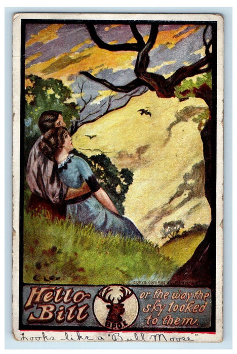 1912 Sweet Couple Romance Looking At The Sky BPOE Elk Puzzle Antique Postcard