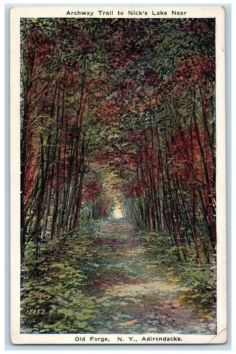 c1930's Archway Trail to Nick's Lake, Adirondacks Near Old Forge NY Postcard