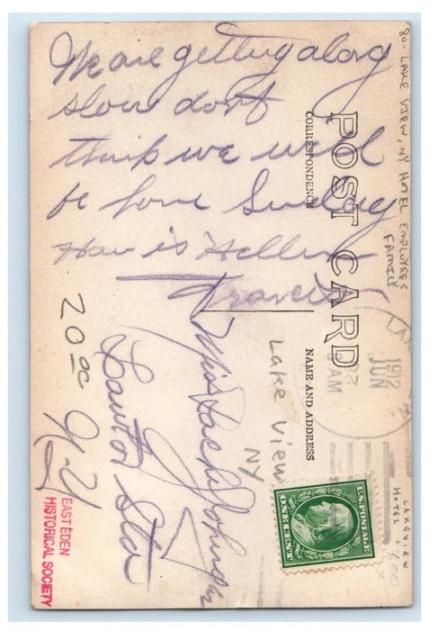 c1910's Lake View NY, Hotel Employees Family Horse Carriage RPPC Photo Postcard