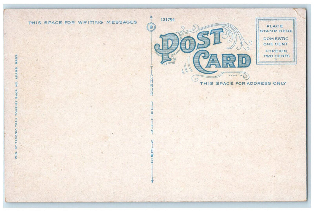 c1930's Looking Down The Eastern Slope Taconic Trail Petersburg NY Postcard
