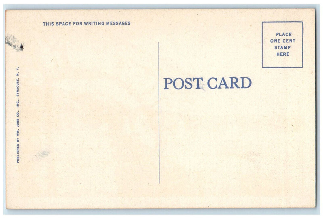 c1940s In The Finger Lakes Sailboats on Keuka Lake Penn Yan New York NY Postcard