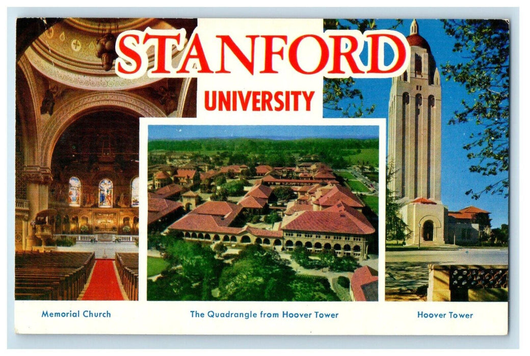 c1960 Stanford University Stanford California CA Natural Mike Roberts Postcard