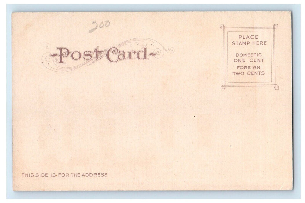 c1905 Post Office Building Horse Exterior View Stockton California CA Postcard