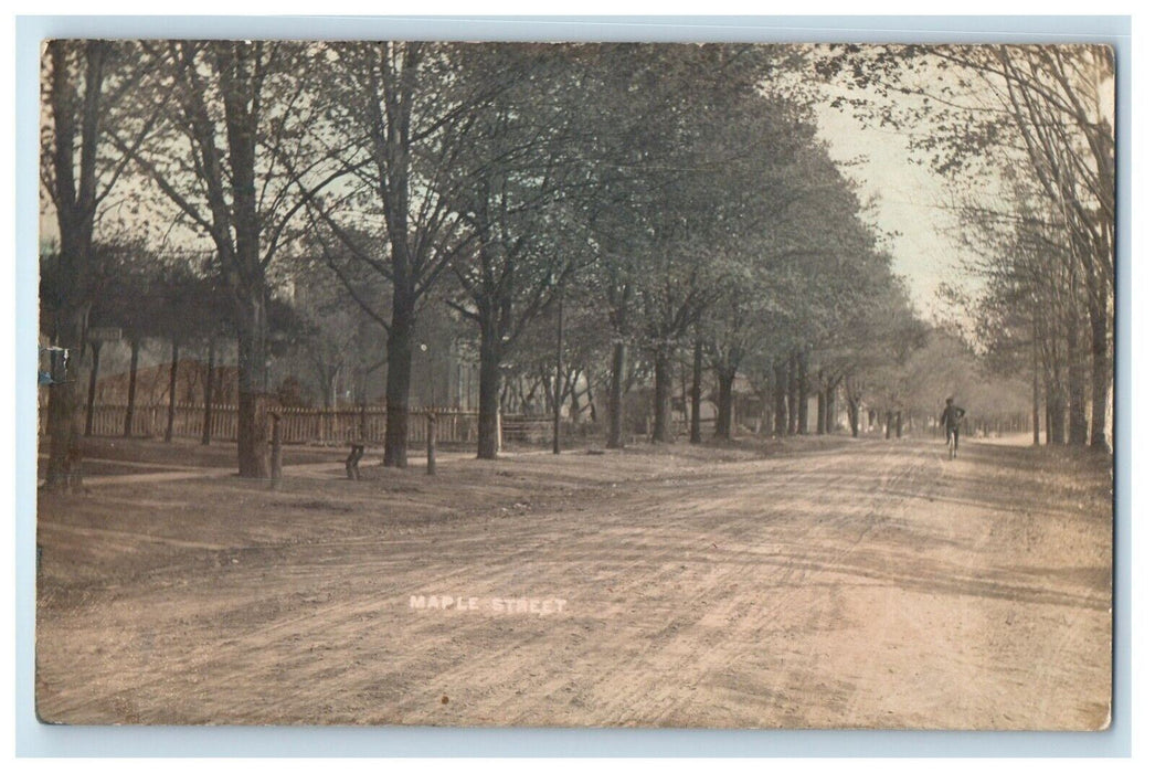 1909 Maple Street View Bicycle Orchard Park New York NY RPPC Photo Postcard