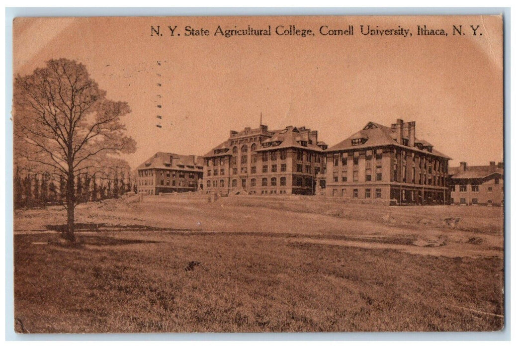 1912 N. Y. State Agricultural College Cornell University Ithaca NY Postcard