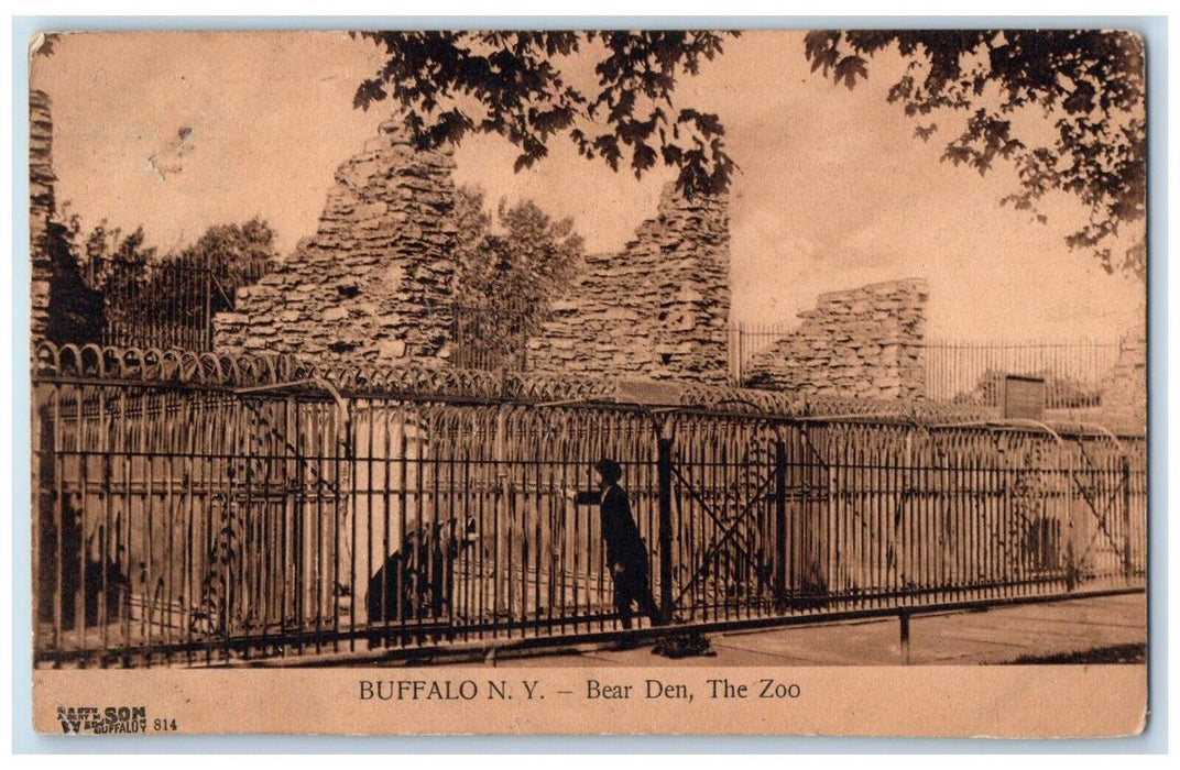 1908 Bear Den The Zoo Buffalo New York NY, Boy Feed Animals Antique Postcard