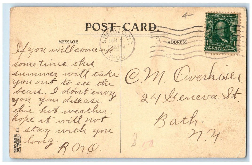 1908 Bear Den The Zoo Buffalo New York NY, Boy Feed Animals Antique Postcard