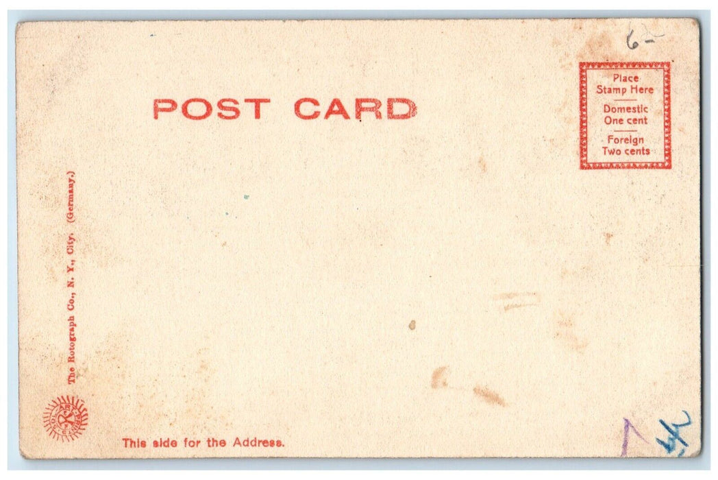 c1905 The Ferry To Island Park Salamanca New York NY Rotograph Antique Postcard