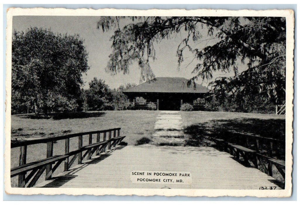 Scene In Pocomoke Park Pocomoke City Maryland MD Unposted Vintage Postcard