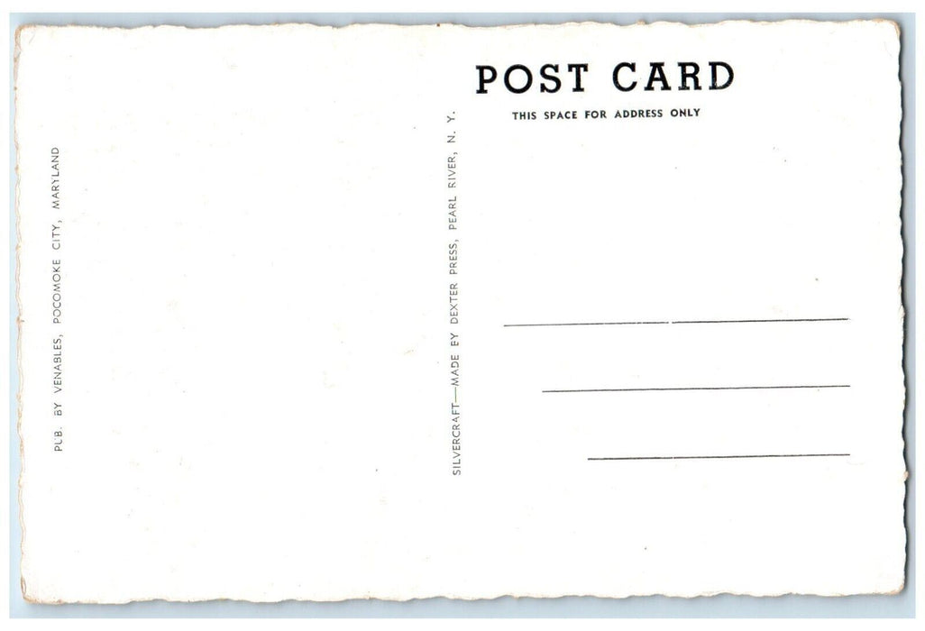 Scene In Pocomoke Park Pocomoke City Maryland MD Unposted Vintage Postcard