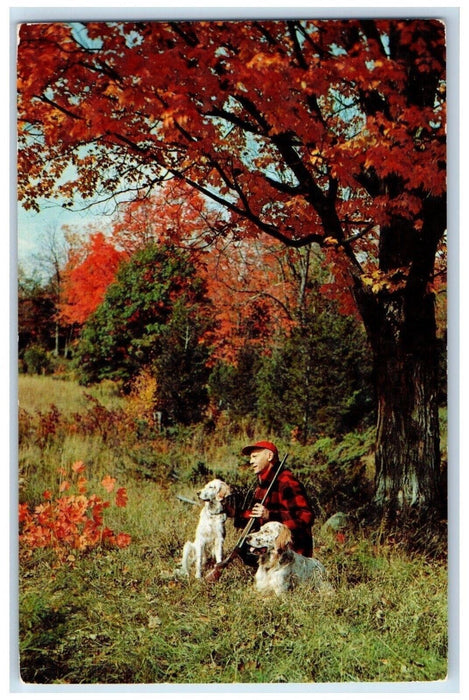 Greetings From Shinglehouse Pennsylvania PA, Beautiful Oswayo Valley Postcard