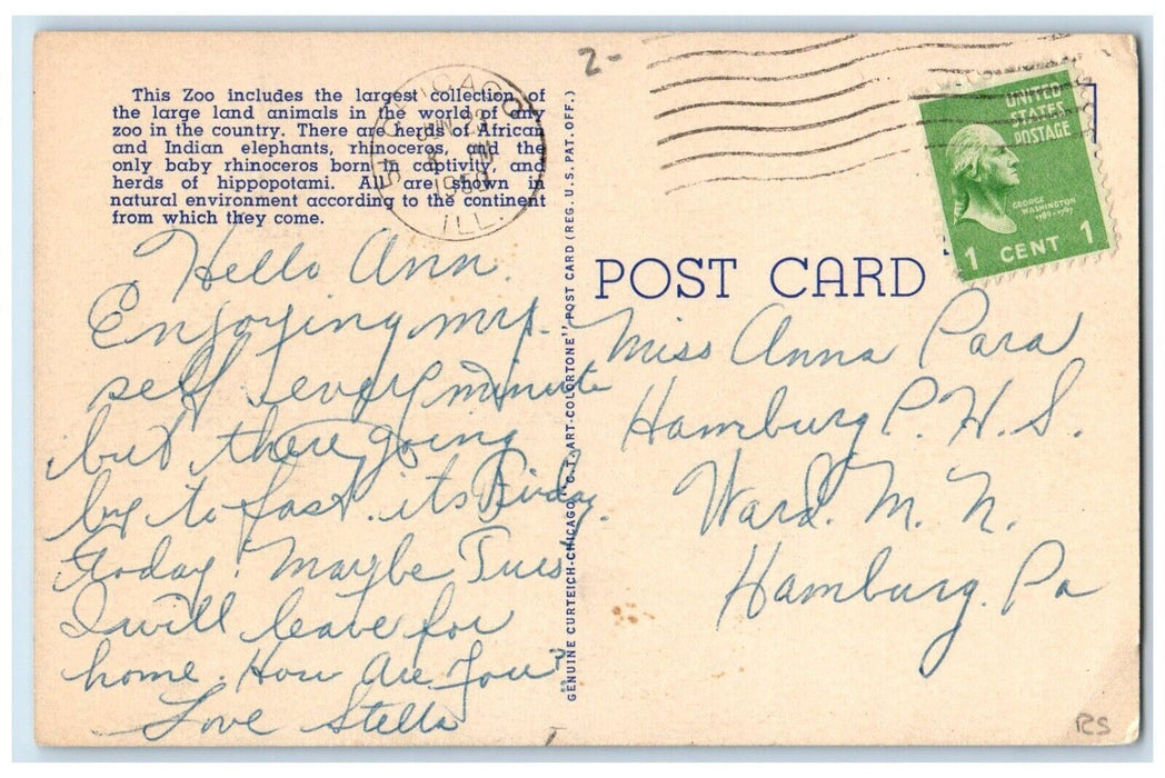 1950 Elephants The Chicago Zoological Park At Brookfield Illinois IL Postcard
