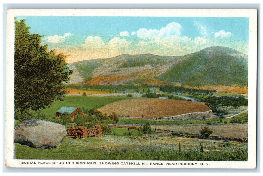 c1920's Burial Place of John Burroughs Catskill Mt. Range Roxbury NY Postcard