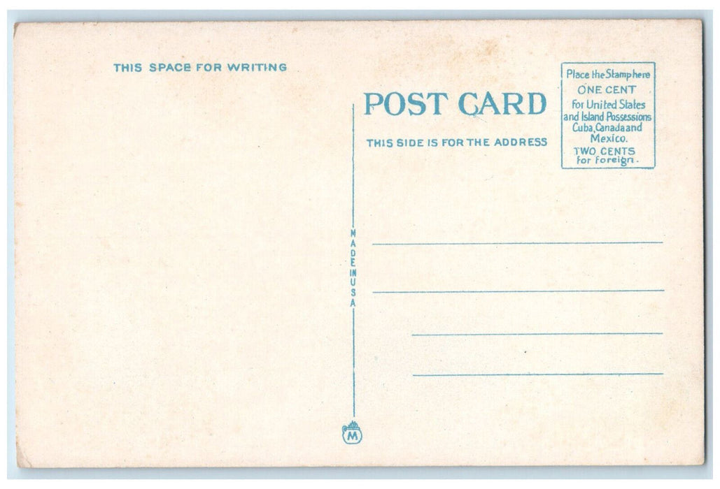 c1920's Catholic Church Penn Yan New York NY Burnell Photo Unposted Postcard