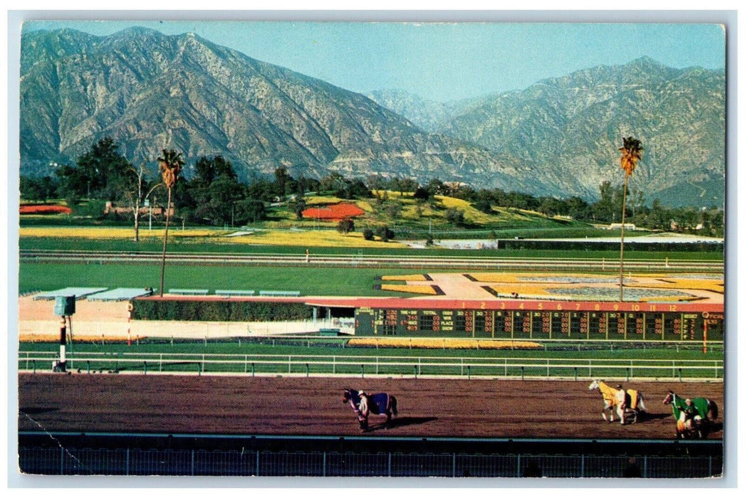 1963 Santa Anita CA, Horse Race Track Palm Trees San Gabriel Mountains Postcard