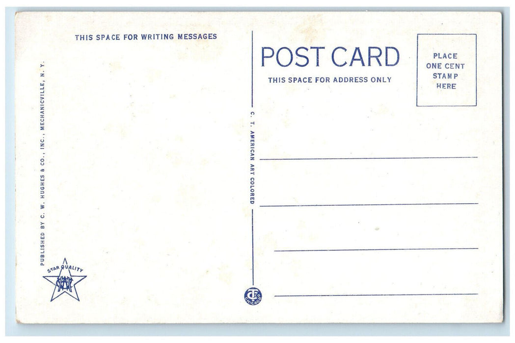c1930's Plaaterskill Clove, From Outlook Point Catskill Mountains NY Postcard