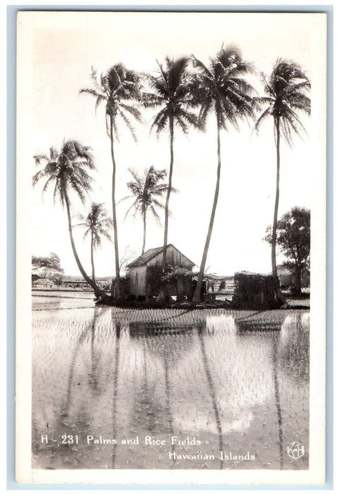 c1940's Palm Trees And Rice Fields Hawaiian Islands HI RPPC Photo Postcard