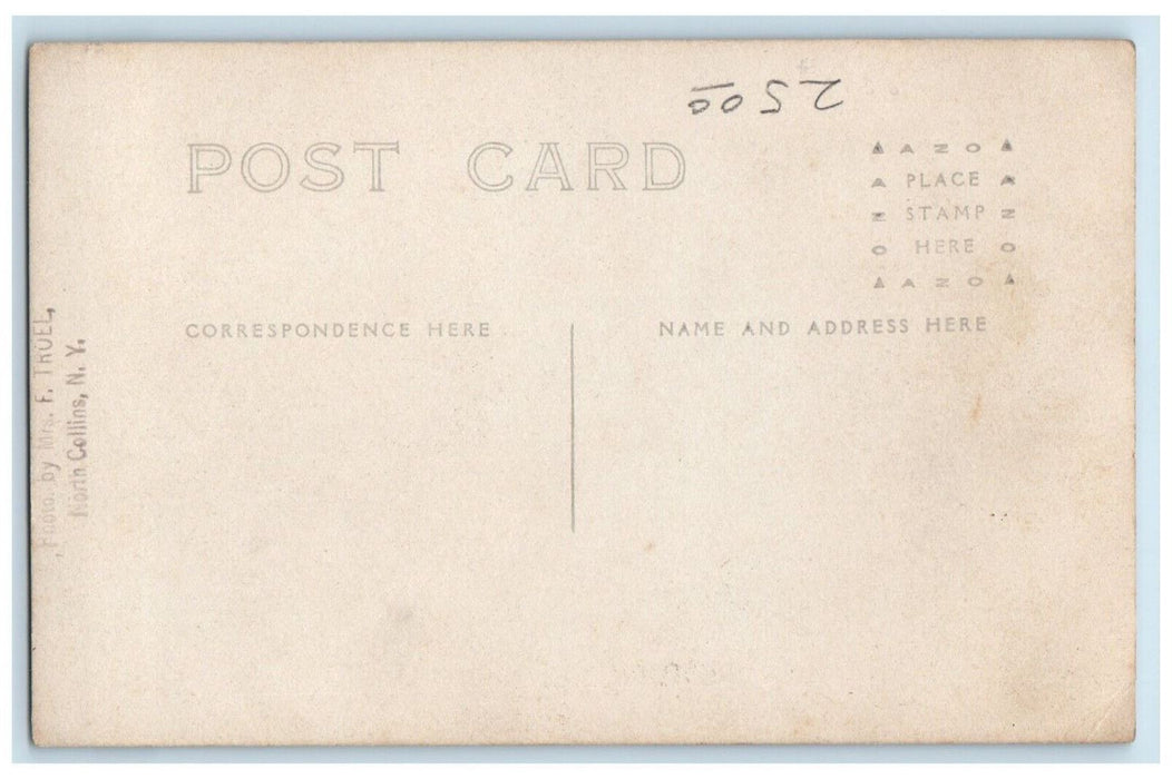 c1910's Main Street Looking South Horse Buggy Collins NY RPPC Photo Postcard