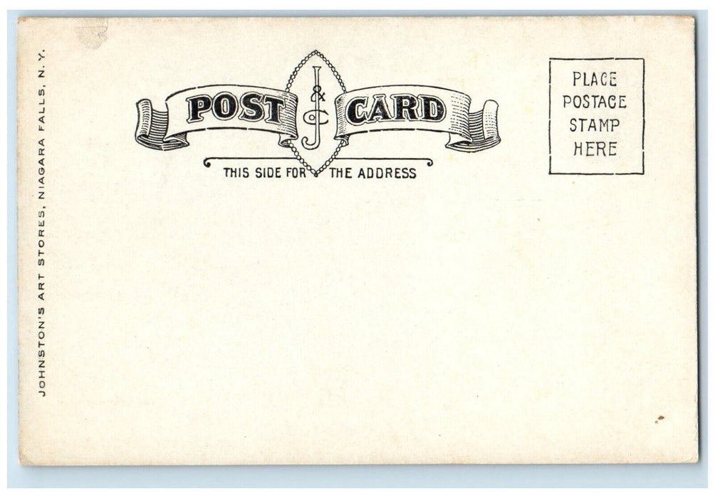 1905 Camp Temagami Lake Temagami District Trees Canada Vintage Antique Postcard