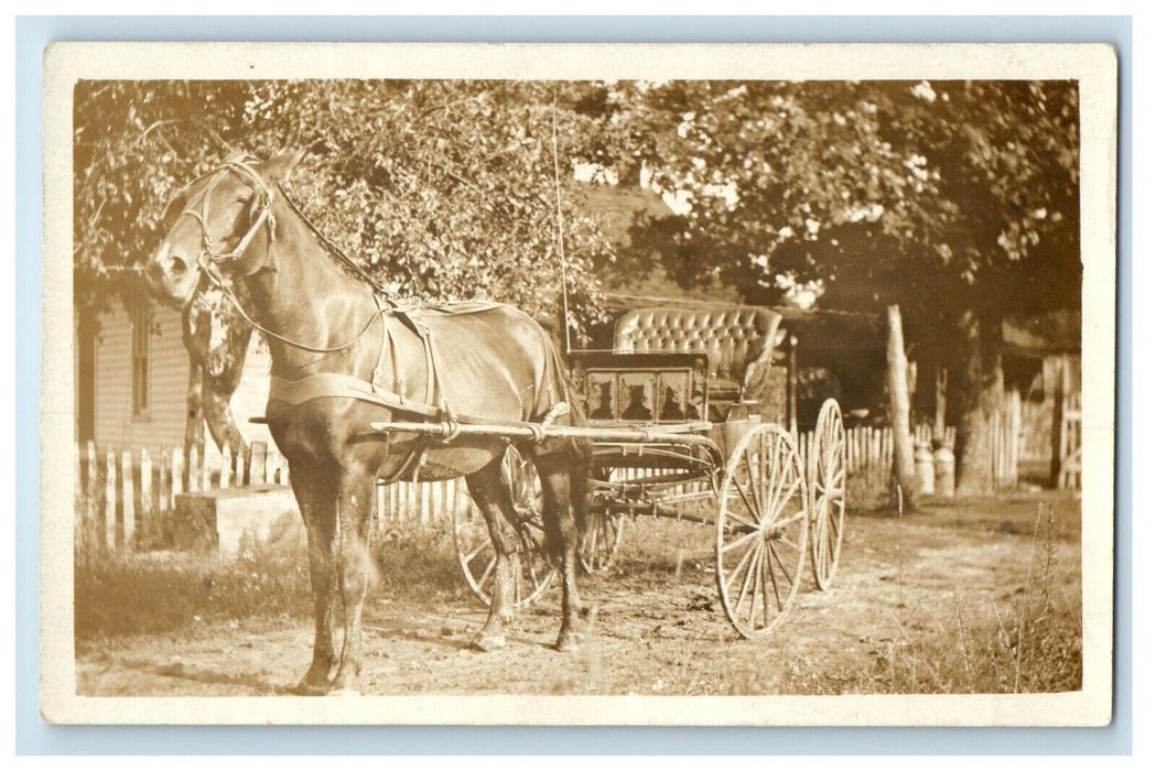 c1910's Beautiful Horse And Buggy Whip RPPC Unposted Photo Postcard