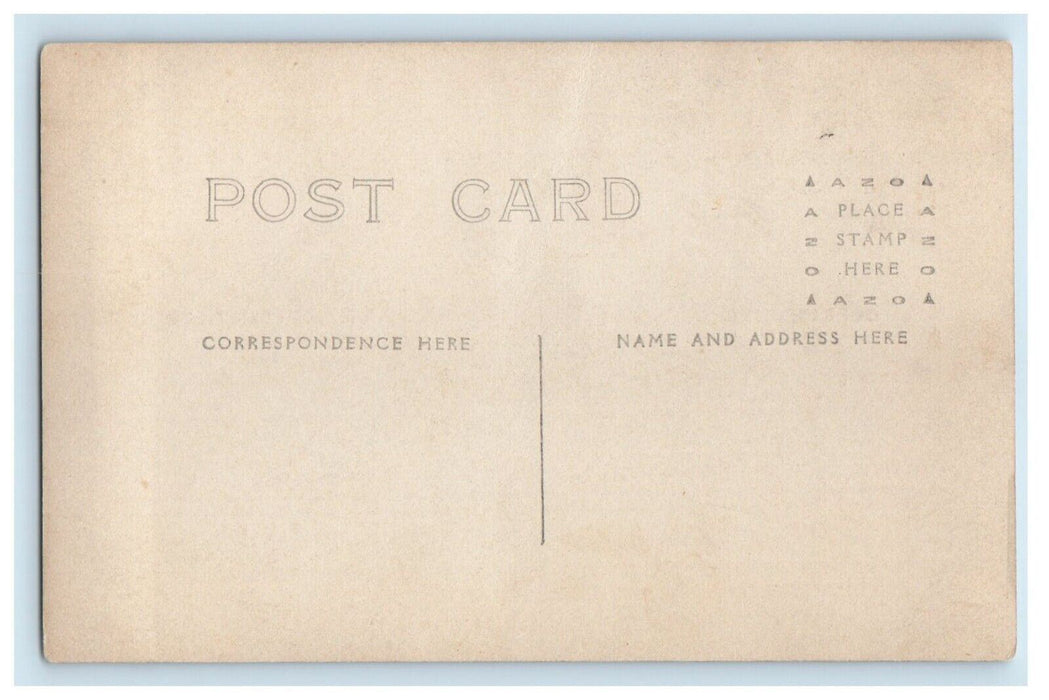 c1910's Beautiful Horse And Buggy Whip RPPC Unposted Photo Postcard