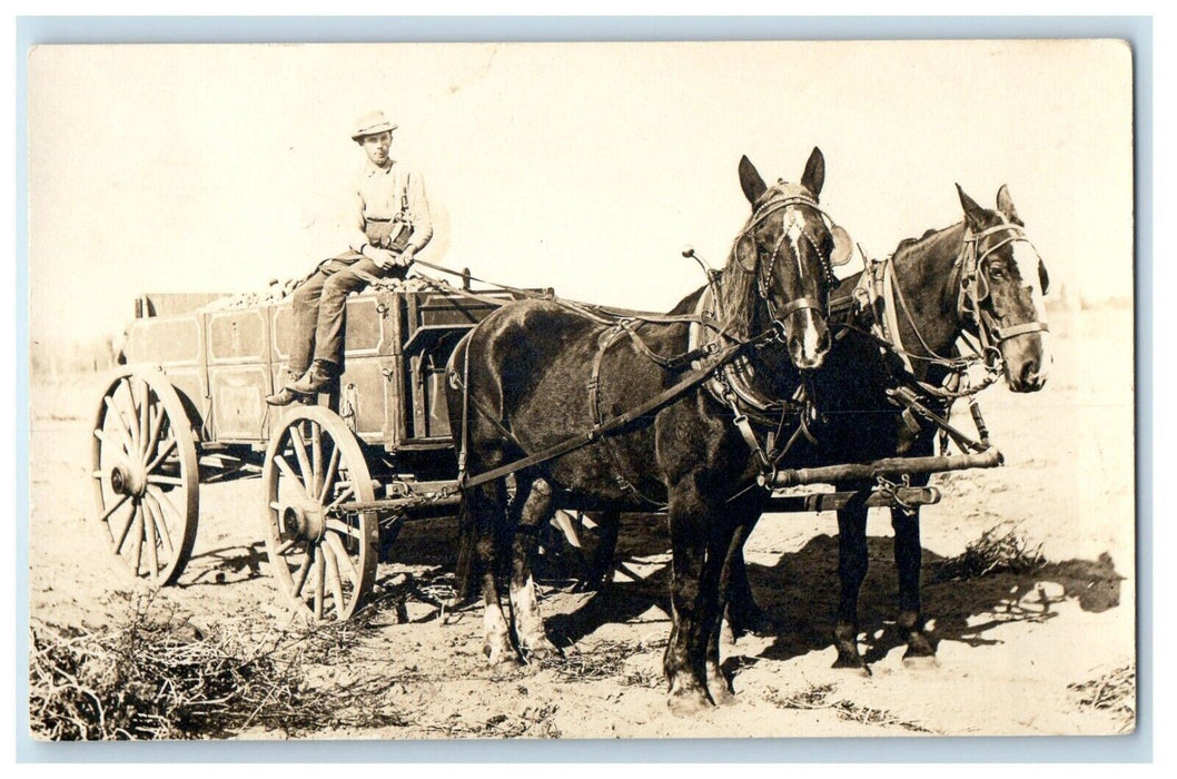 c1910's Horses And Wagon Hauling Coachman RPPC Unposted Photo Postcard