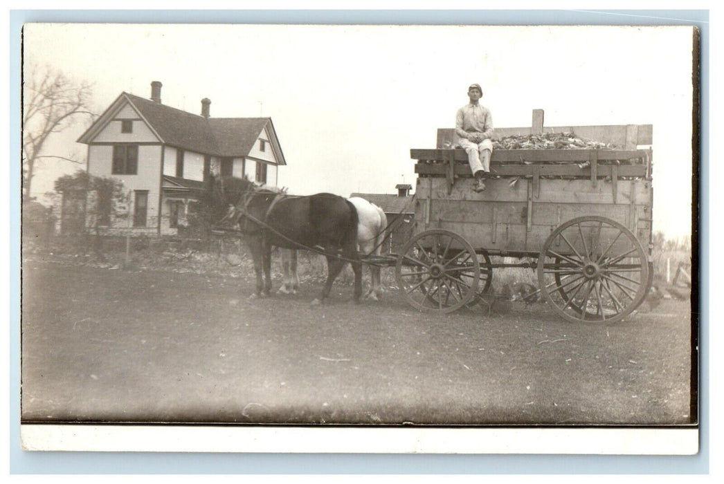 c1910's Horses And Wagon Hauling Corn Farm Land RPPC Unposted Photo Postcard