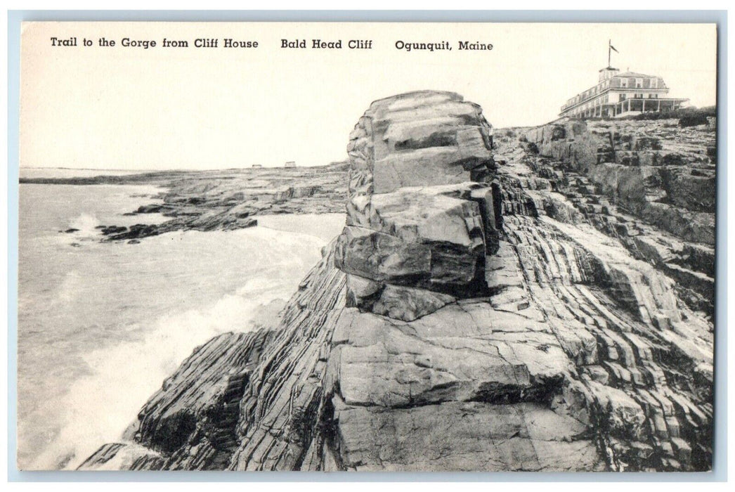 c1930's Trail To The Gorge From Cliff House Bald Head Cliff Ogunquit ME Postcard
