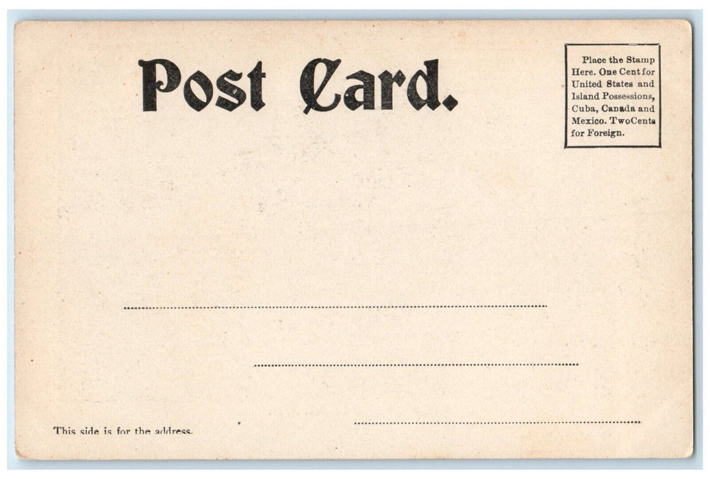 c1905 High School Concord New Hampshire NH Nelson's Five Cent Store Postcard