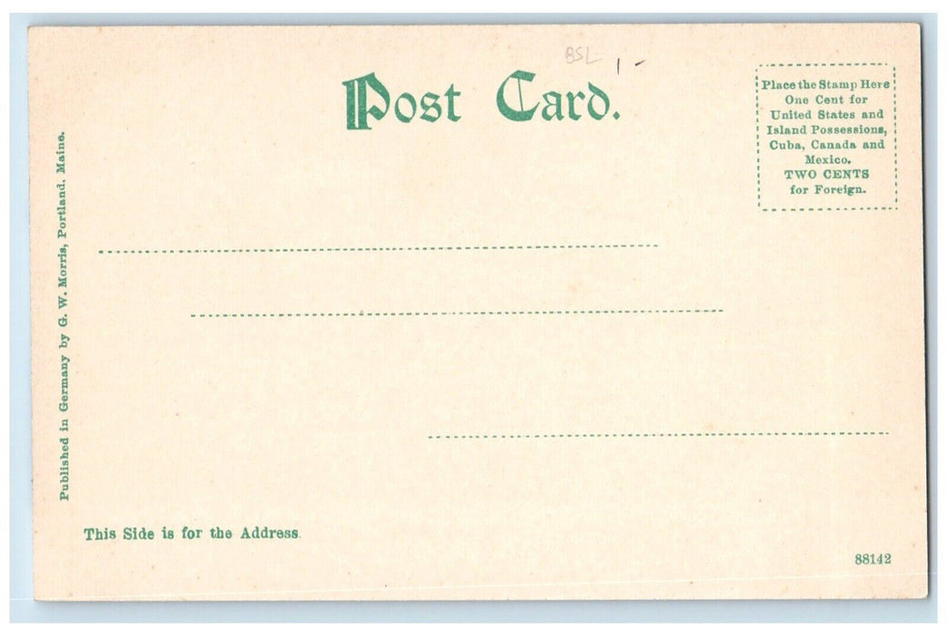 c1905 Island In Lake Pennessewassee Canoeing Norway Maine ME Antique Postcard