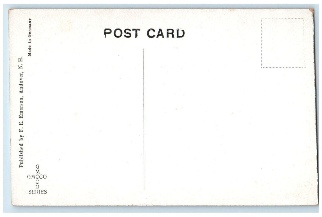 c1910 Lodge and Cottages, Ragged Mt. Reserve Andover New Hampshire NH Postcard