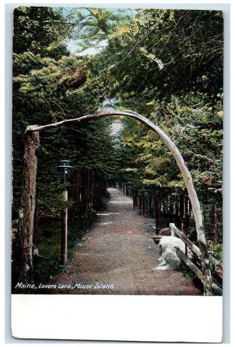 c1905 Maine ME, Lovers Lane Mouse Island Dirt Road Unposted Antique Postcard