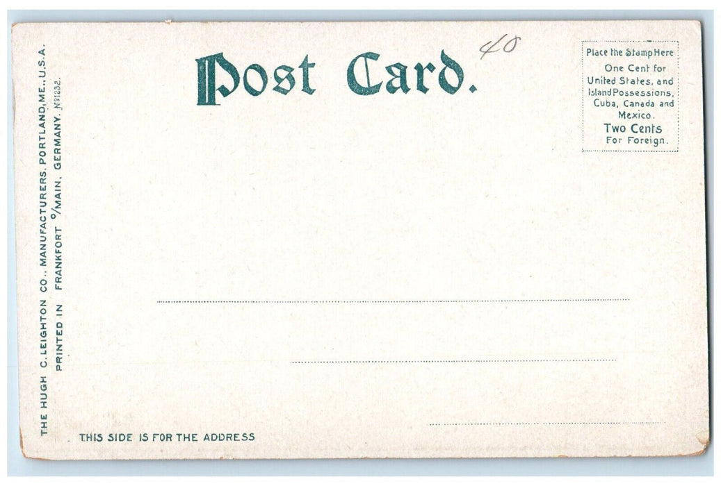 c1905 Maine ME, Lovers Lane Mouse Island Dirt Road Unposted Antique Postcard