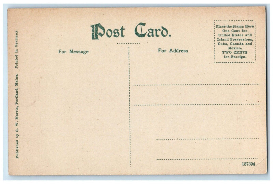 c1910's Through The Pines Forest Mouse Island Maine ME Unposted Antique Postcard