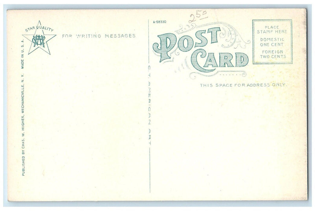 c1910 The Bridge Lake Boat Trees Sidney New York NY Antique Unposted Postcard
