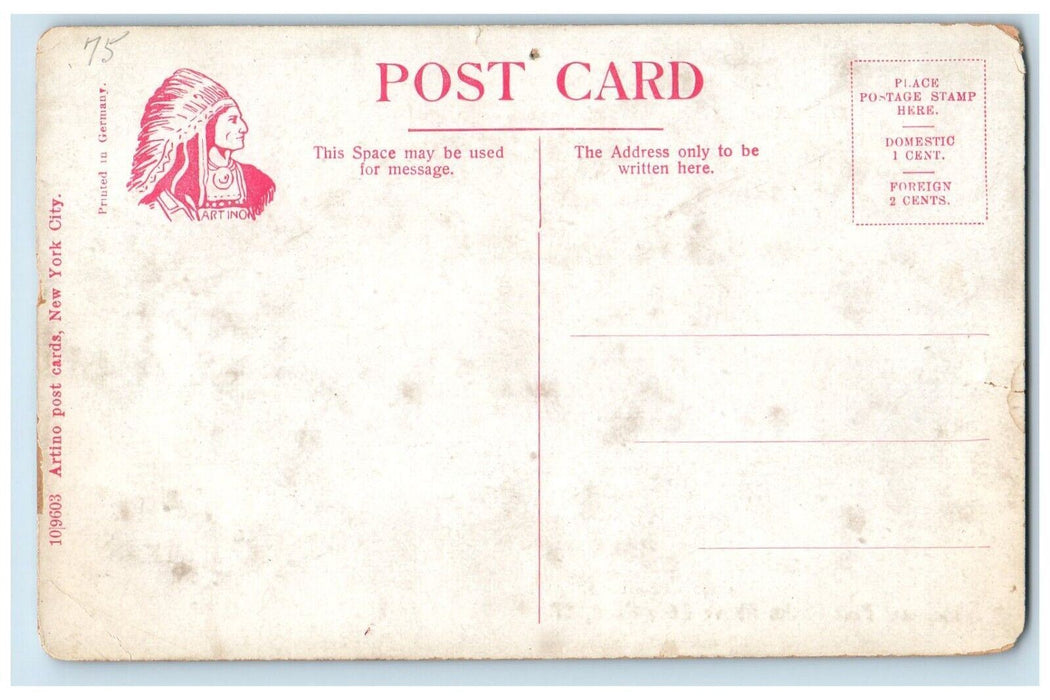 c1920 Elephant Feet Rocks above Eddy Farm Sparrow Bush New York NY Postcard