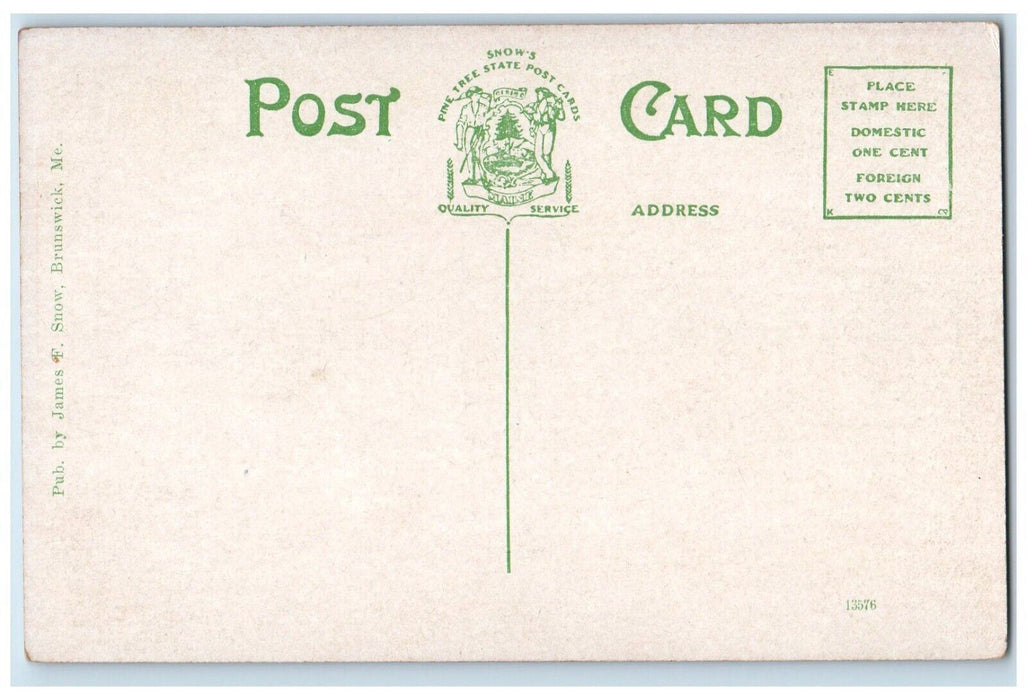 c1910's Public Library Street View Lewiston Maine ME Unposted Antique Postcard
