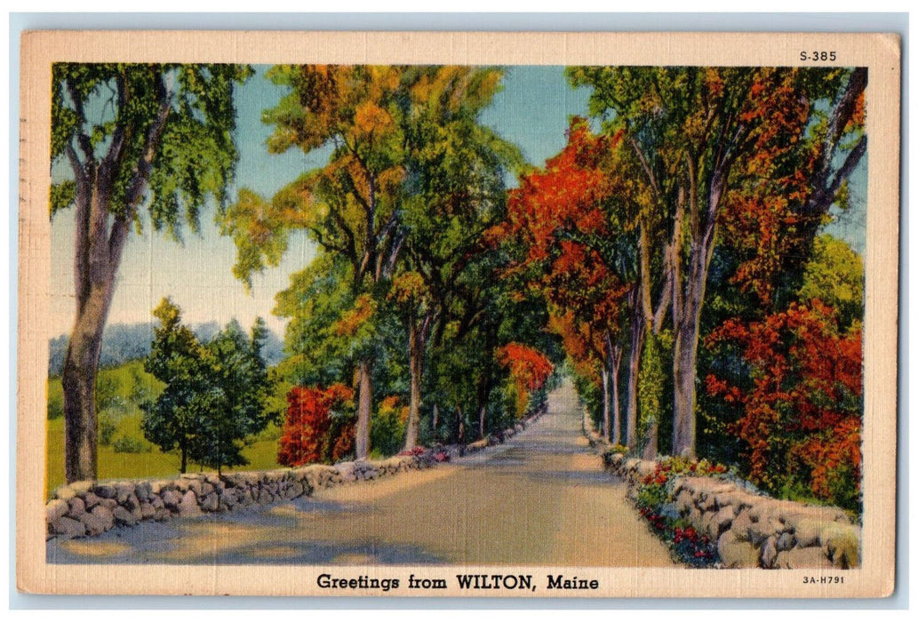 c1930's Scene of Trees & Road, Greetings from Wilton Maine ME Postcard