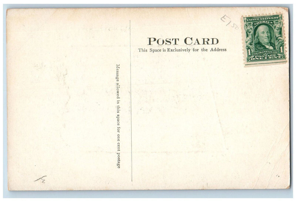 c1940's Nubble Light, Greetings from York Beach ME Ripped Bark Tree Postcard