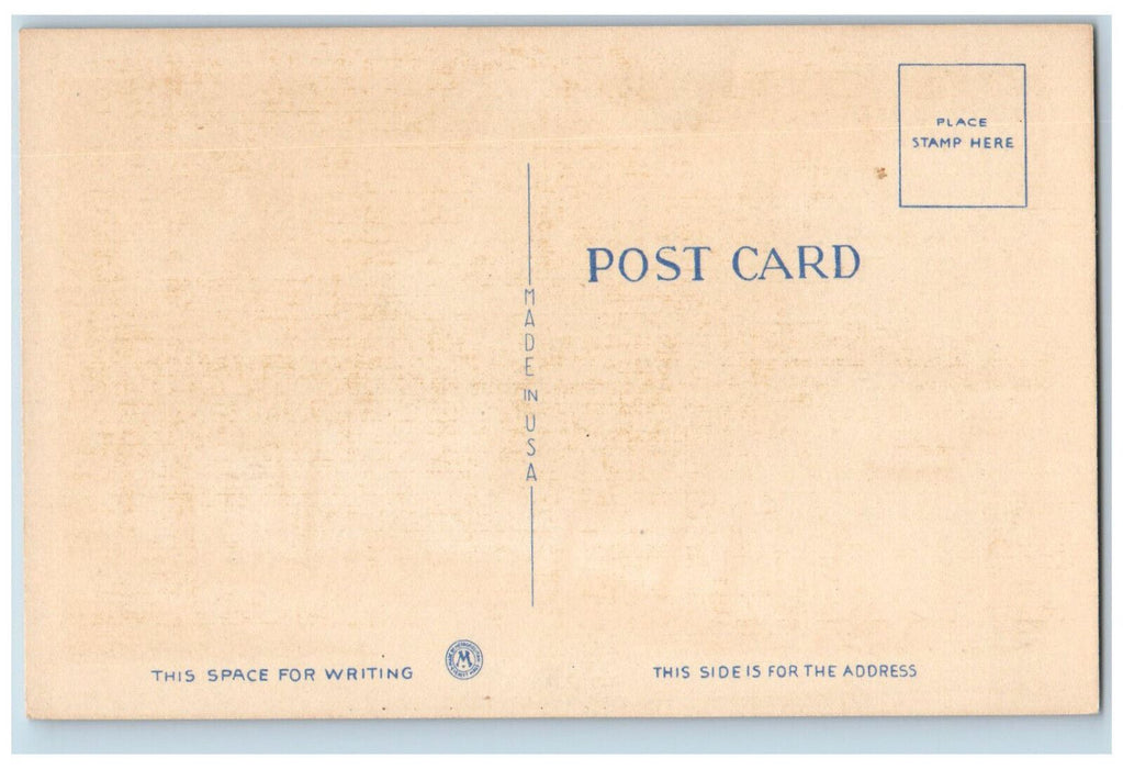 c1940's Moonlight Scene, Greetings from the Pine Grove Amherst NH Postcard