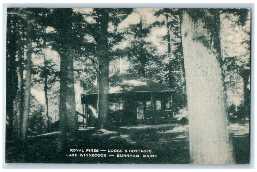 c1940's Royal Pines Lodge & Cottages Lake Winnecook Burnham Maine ME Postcard