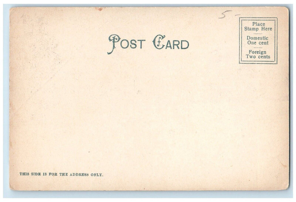 c1905 Boat Landing Center Harbor Lake Winnipesaukee New Hampshire NH Postcard