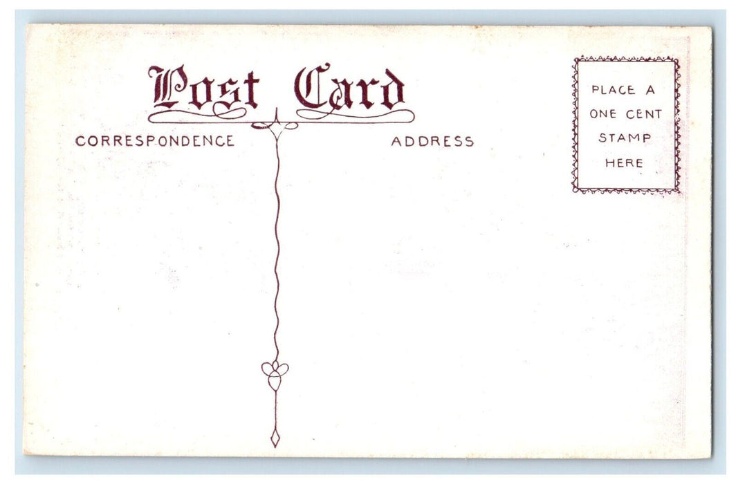 c1910's The Ferry Connecting Vischers Ferry Niskayuna NY, Boats Dock Postcard