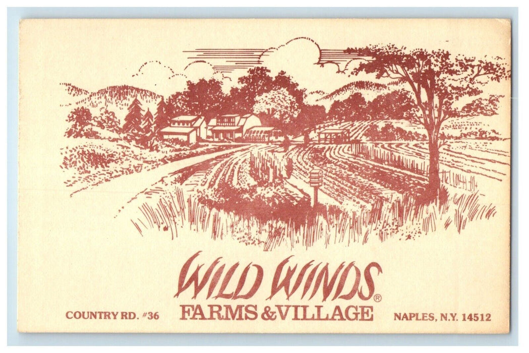 Wild Winds Farms & Village Naples New York NY Unposted Antique Postcard