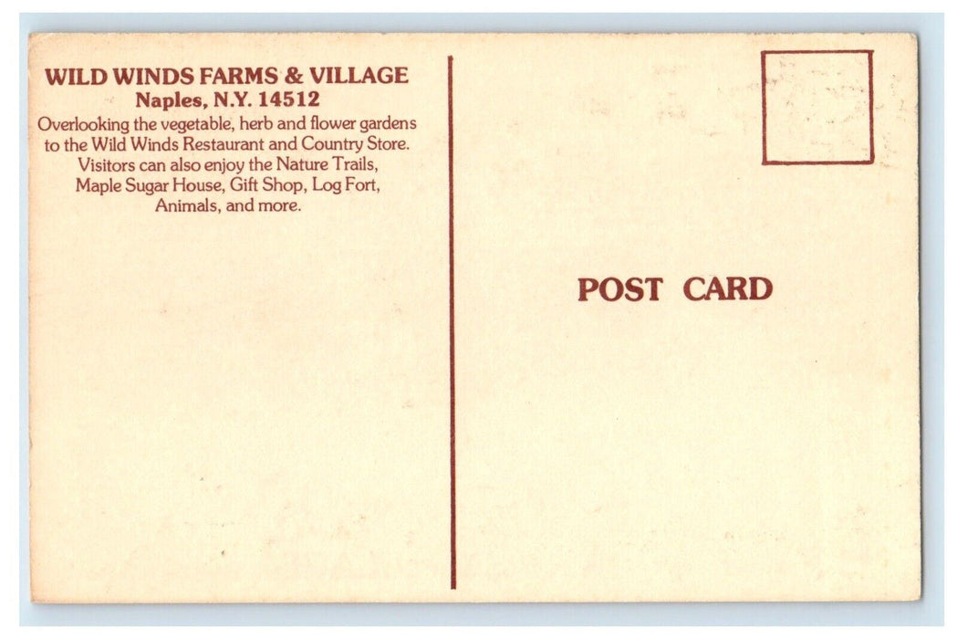 Wild Winds Farms & Village Naples New York NY Unposted Antique Postcard